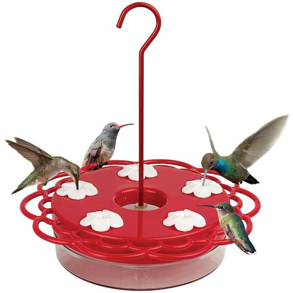 2-N-1 Plastic Dish Hummingbird Feeder 13 oz