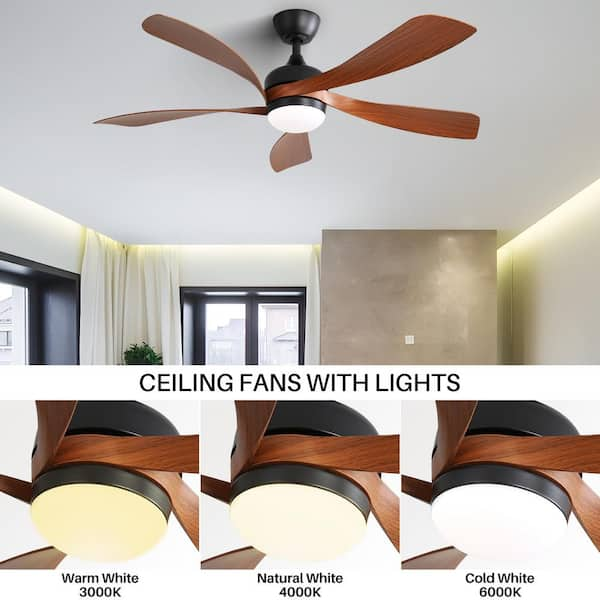 Sofucor 52 in. Indoor/Outdoor 5 Blades Black Downrod Ceiling Fan 