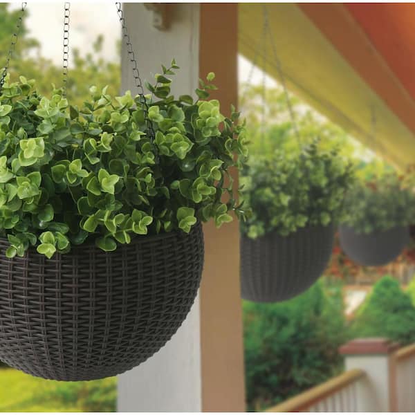 Algreen Self-Watering Wicker Brown Plastic Hanging Planter (2-Pack) 14127 -  The Home Depot