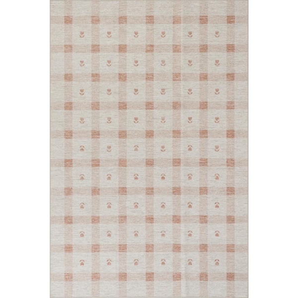 Gingham Machine Washable Blush 3 ft. x 5 ft. Indoor Area Rug