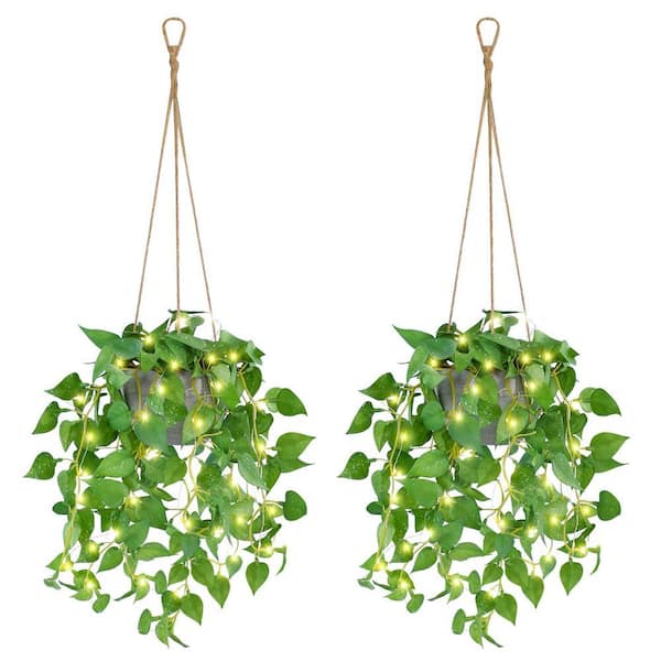 hydroponic pot plants Hydroponic Planter Pot