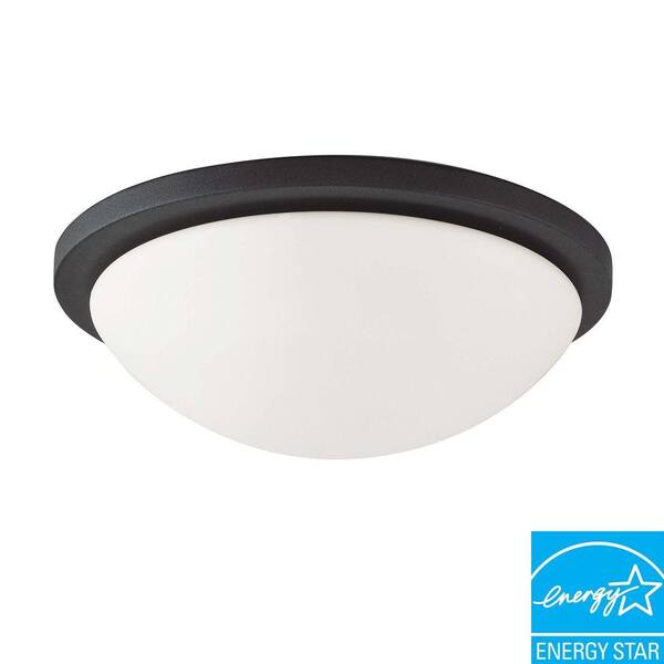 Green Matters 2-Light Textured Black Domed Flushmount