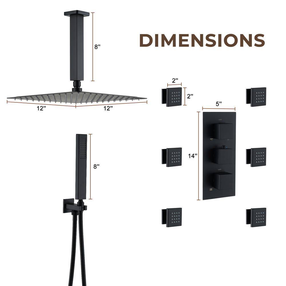 Large Matte Black Dual Square Ceiling Mounted Rainfall Shower System