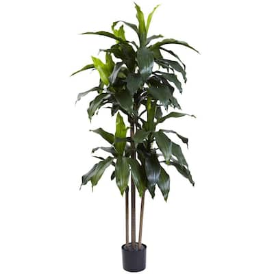 5 ft. Indoor/Outdoor UV Resistant Dracaena Plant