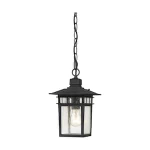 Cove Neck 12 in. 1-Light Textured Black Dimmable Outdoor Pendant Light with Clear Seed Glass and No Bulbs Included
