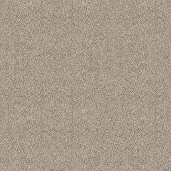 Home Decorators Collection Columbus II - Daytona Sand - Beige 74.9 oz. SD Polyester Texture Installed Carpet