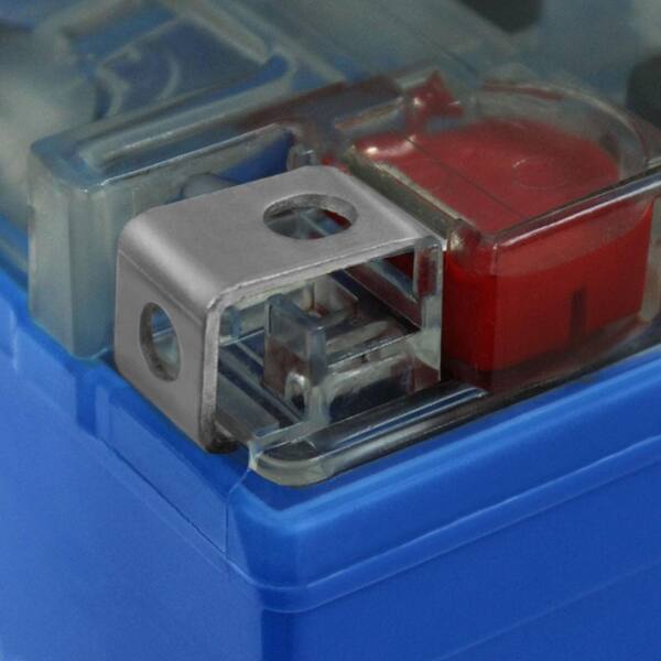 MIGHTY MAX BATTERY YTX20L-BS GEL Replacement Battery for Can