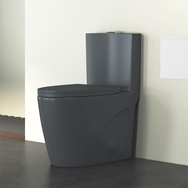 Eridanus Reno 1-Piece 1.1/1.6 GPF Siphon Dual Flush Elongated ADA Chair Height Toilet in Charcoal Gray, Seat Included