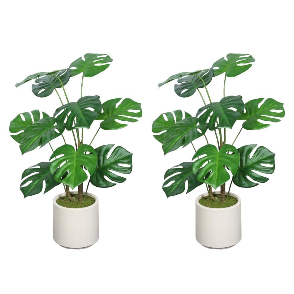 30 Inch Artificial Monstera Deliciosa Plant with White Pot, 2 Potted Plants Per Set price history on PriceWatchPro