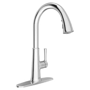 Renate Single Handle Pull Down Sprayer Kitchen Faucet in Polished Chrome