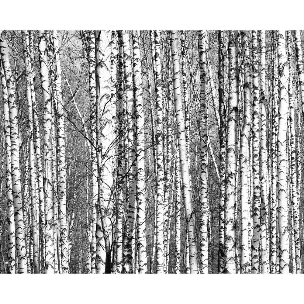 Brewster Wood for the Trees Wall Mural WR50555