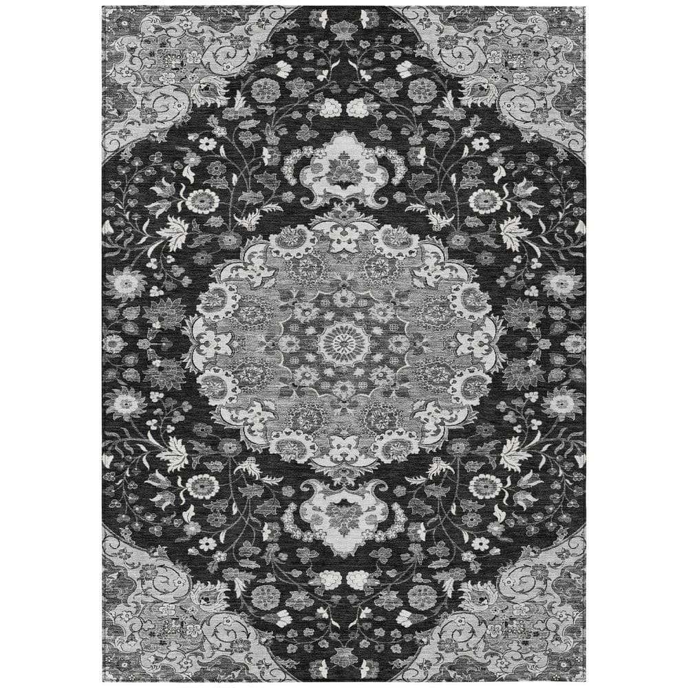 Chantille Machine Washable Indoor/Outdoor Abstract ACN2611 Black 5 ft. x 7 ft. 6 in. Area Rug price history on PriceWatchPro