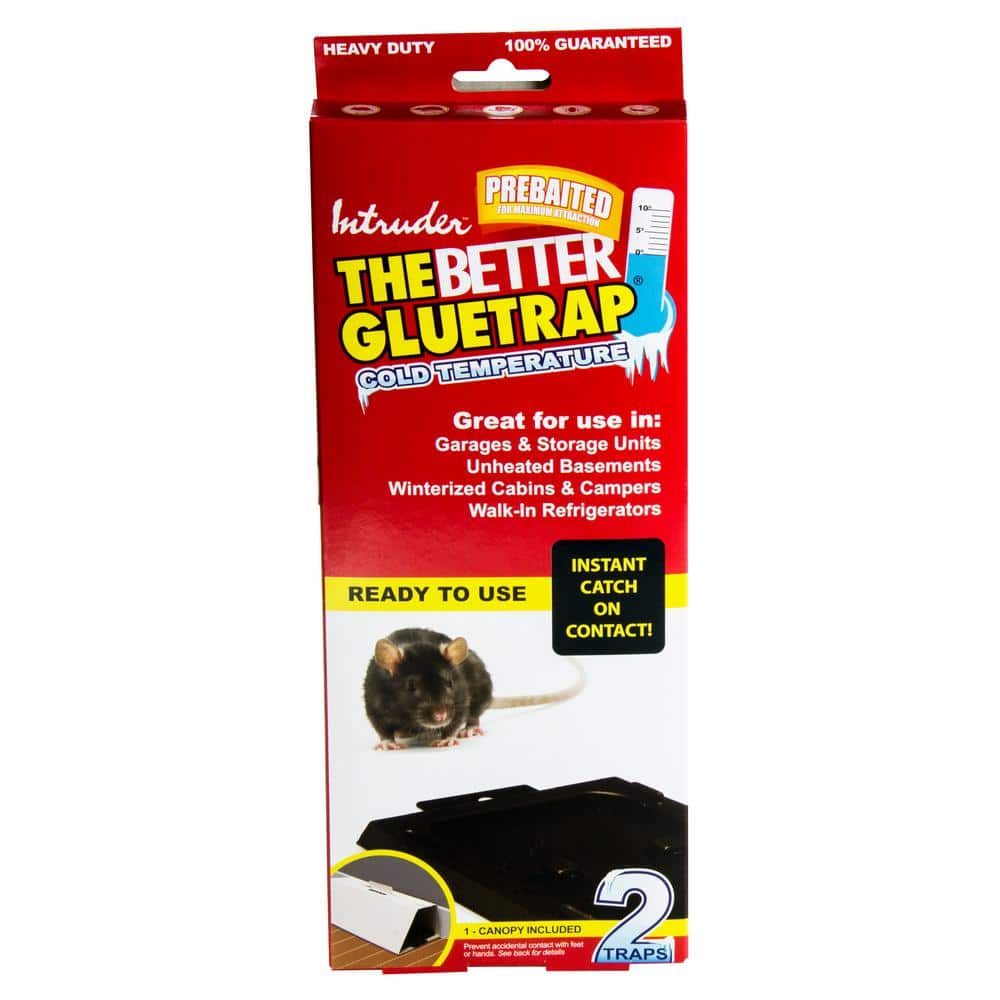 Intruder The Better Glue Trap Cold Temperature Rat Trap - 17515
