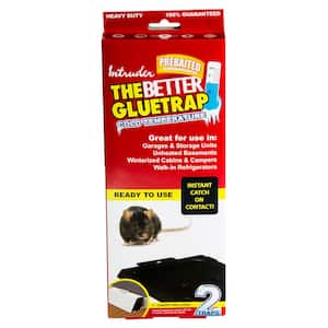 Intruder The Better Gluetrap Cold Temperature Rat Size (2-Pack)