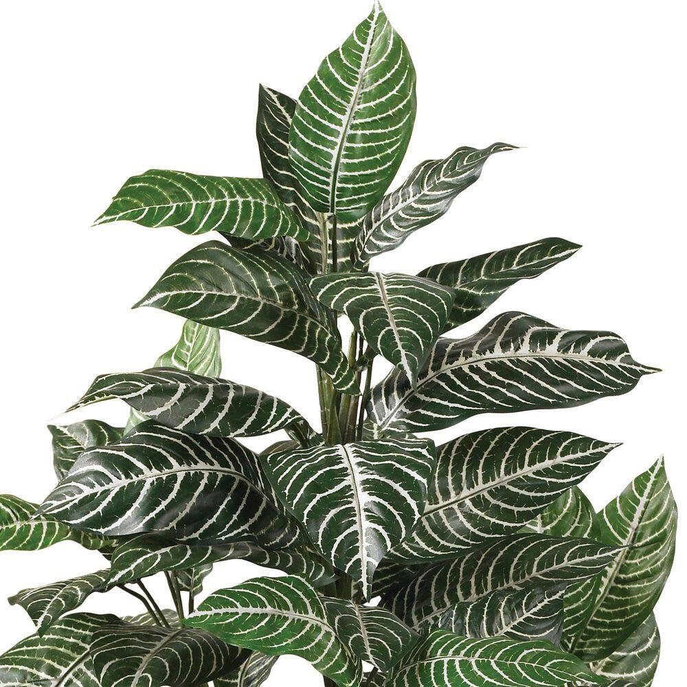 42" Green Silk Zebra Plant in Wicker Pot