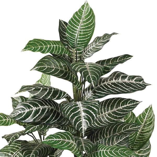 3' Zebra Silk outlets Plant,sdg