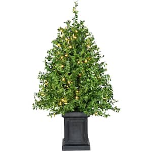 2 ft. Prelit Boxwood Artificial Porch Christmas Tree with Black Pot and Warm White Lights