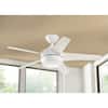 home-decorators-collection-ceiling-fans-with-lights-37566-e1.1