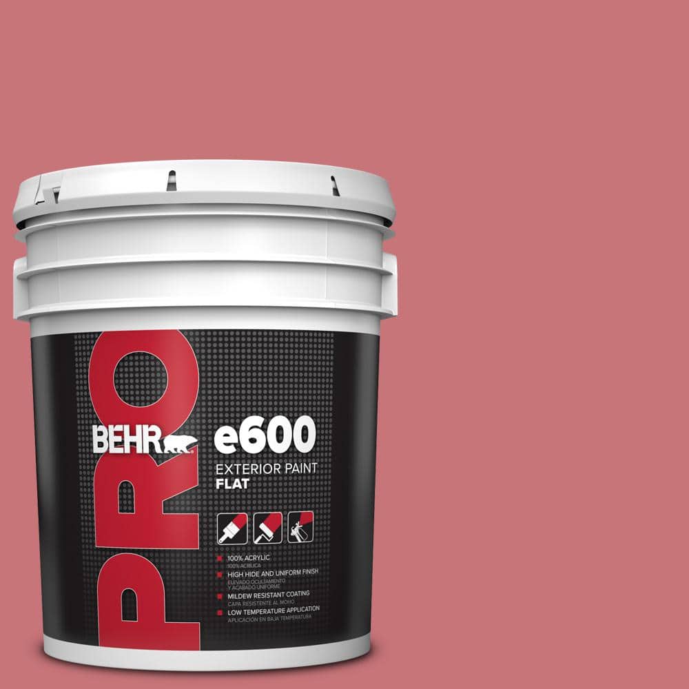 5 gal. #140D-5 Rose Chintz Flat Exterior Paint price history on PriceWatchPro