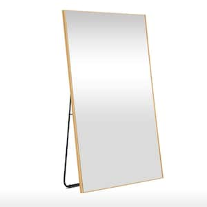 Seafuloy Stylish 22 In. W X 65 In. H Oversized Mirror Floor Mirror ...