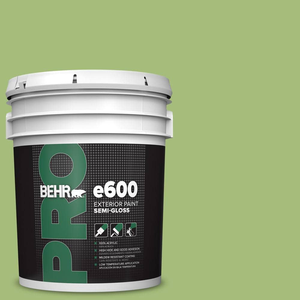 5 gal. #P370-5 Lazy Caterpillar Semi-Gloss Exterior Paint price history on PriceWatchPro