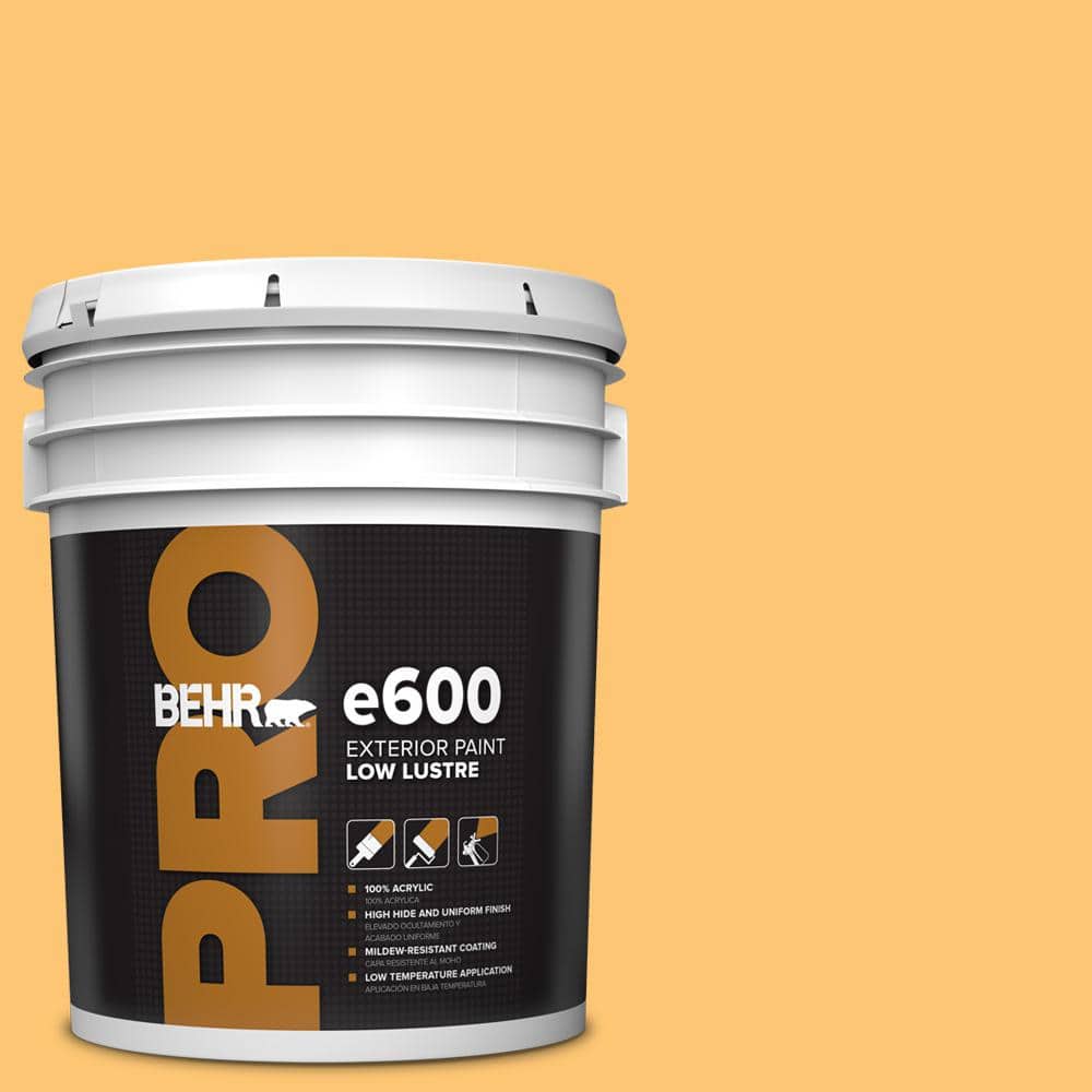 5 gal. #BIC-42 Liquid Gold Low Luster Exterior Paint price history on PriceWatchPro