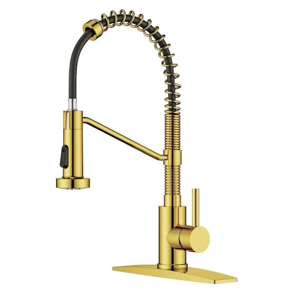 androme Single Handle Pull Down Sprayer Kitchen Faucet in Gold