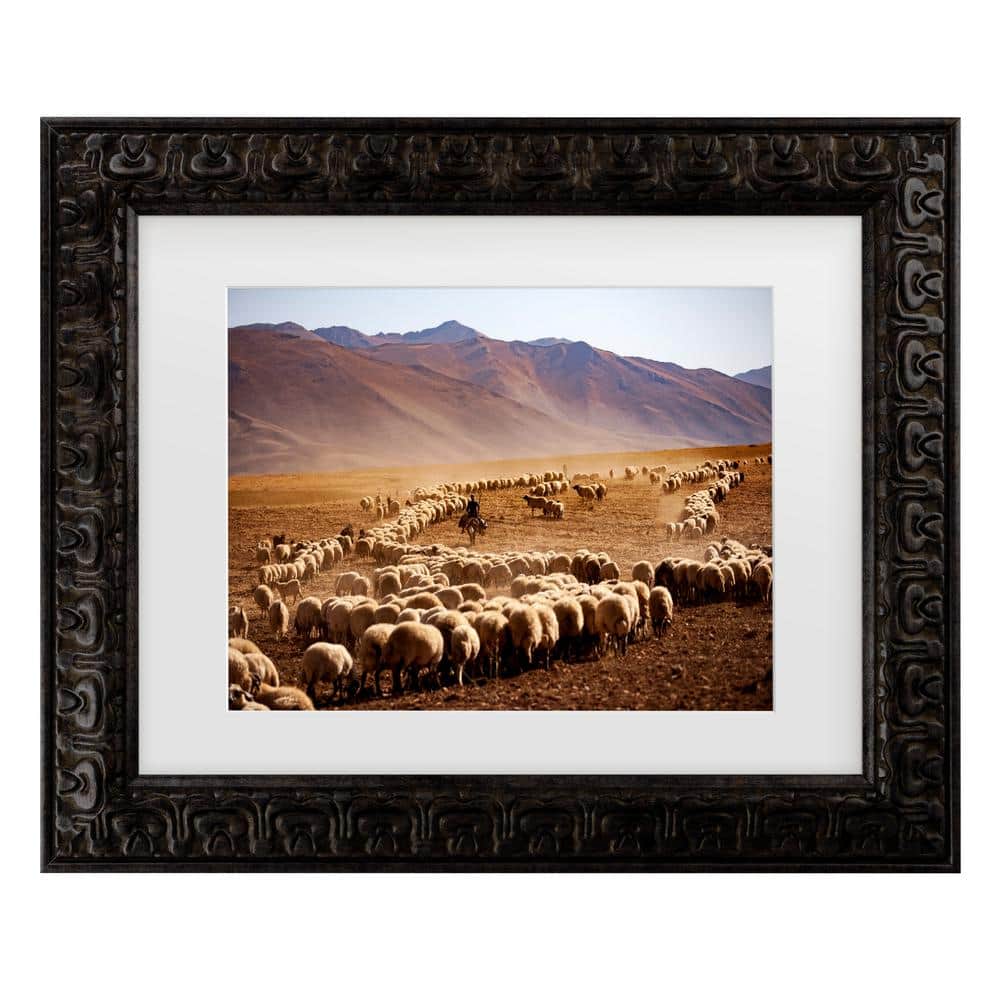 Murat Cacim Desert Sheep Herd Framed Canvas Wall Art