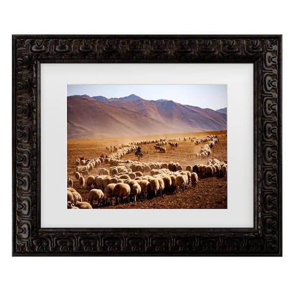 Trademark Fine Art Murat Cacim Desert Sheep Herd Matted Framed Photography Wall Art 14.5 in. x 17.5 in.