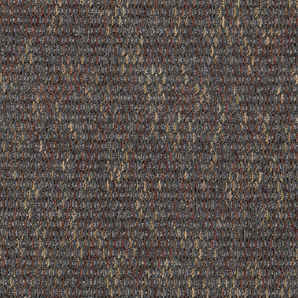 8 in. x 8 in. Loop Carpet Sample - Social Network IV -Color Cement price history on PriceWatchPro