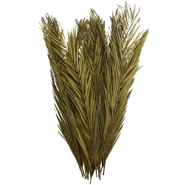 Litton Lane 43 in. Palm Leaf Natural Foliage with Feather Inspired