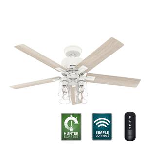 Hunter Vivien 52 in. LED Indoor Painted Brass Ceiling Fan with Light ...