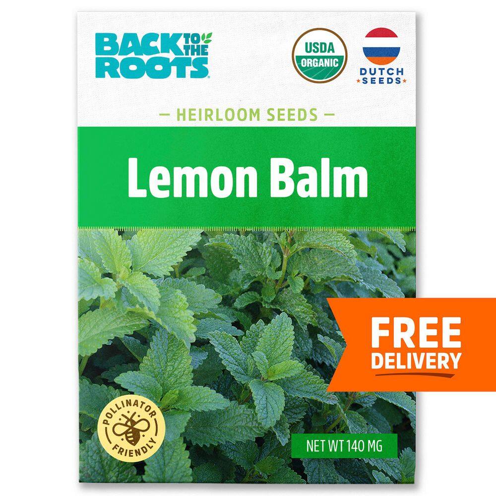 thumbnail image 2 of 75 Lemon Balm Seeds – NON-GMO Heirloom, FREE SHIPPING, Easy Grow, Melissa Officinalis 2 of 4
