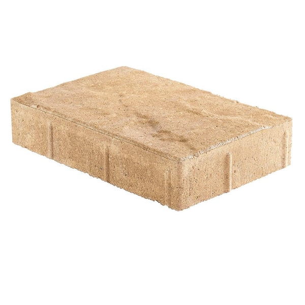 Pavestone Taverna Rec 12 in. x 8 in. x 2 in. Silver Shell Concrete Paver