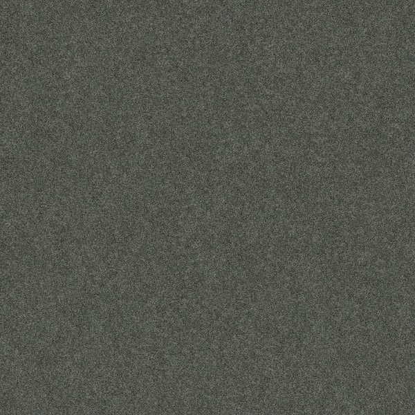 Coastal Charm I - Color Cactus Green 42 oz. Nylon Texture Carpet - Installation Required