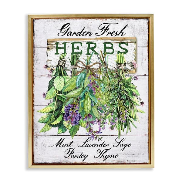 Stupell Industries Garden Fresh Herbs by Creatif Belle Gold Floater Frame Food Graphic Art Print 31 in. x 25 in.