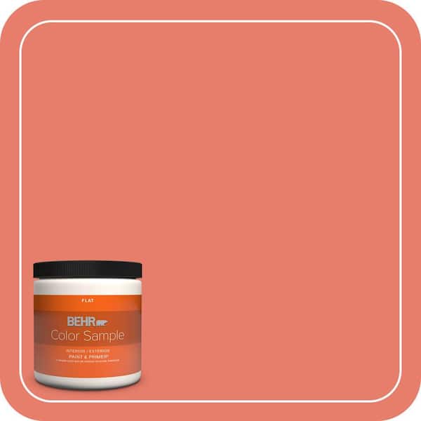 BEHR PREMIUM PLUS 8 oz. Home Decorators Collection #HDC-SM14-12 Cosmic Coral Flat Interior/Exterior Paint & Primer Color Sample