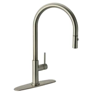 Carmina Single-Handle Pull-Down Sprayer Kitchen Faucet in Stainless Steel