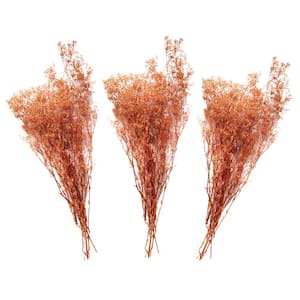 23 in. Orange Peach Baby's Breath Dried Natural (3-Pack)