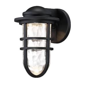 Steampunk 9 in. Black Integrated LED Outdoor Wall Sconce, 3000K
