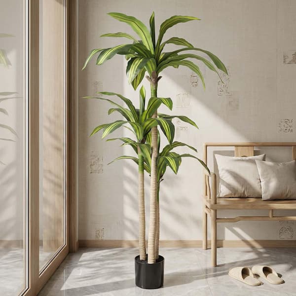 olivenbaum pflanzkübel Großer Olivenbaum, 100-110cm – Green Me Up main image 1