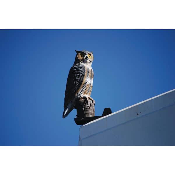 BIRD BARRIER Rotating Owl w/Sound - 4 Predator/Scare Sounds are