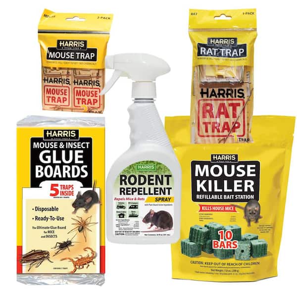 ECOCLEAR PRODUCTS RatX 1 lb. Rodent Control Animal Bait 100516268 - The  Home Depot