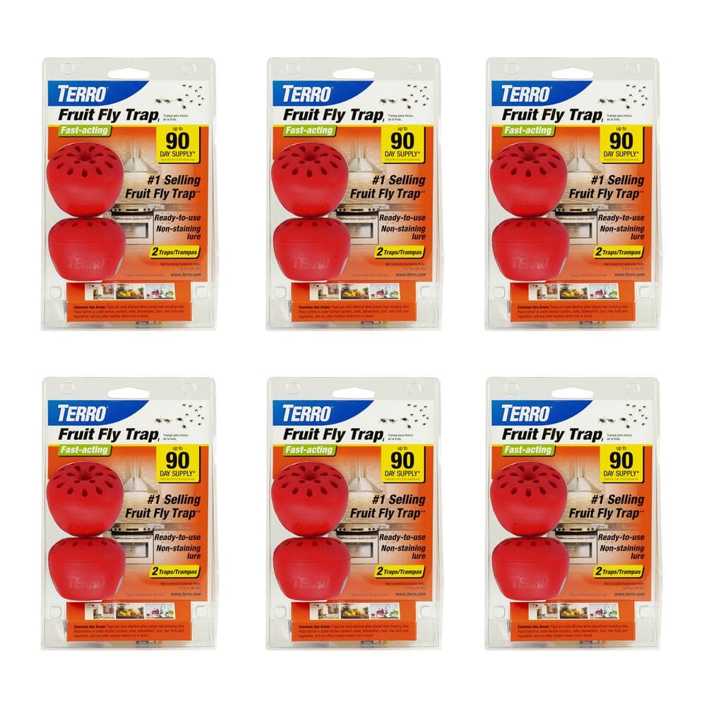 TERRO Ready-to-Use Indoor Fruit Fly Traps with Bait (12-Count) T2512 - The  Home Depot