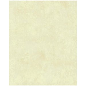 Stucco Paper Strippable Roll Wallpaper (Covers 57.75 sq. ft.)