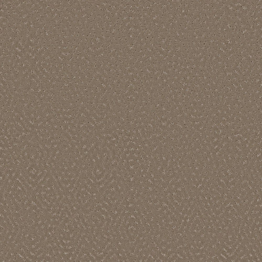 8 in. x 8 in. Pattern Carpet Sample - Soothing Step - Color Driftwood price history on PriceWatchPro