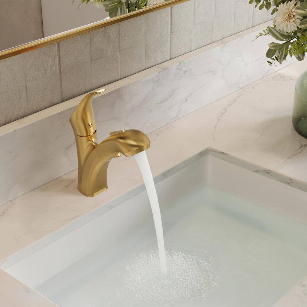 2-Spray Single-Handle Single-Hole Pull Out Sprayer Bathroom Sink Faucet with Drain Included in Brushed Gold price history on PriceWatchPro