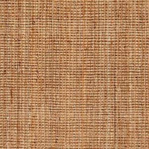 Andes Natural Tan 6 ft. x 9 ft. Jute Area Rug