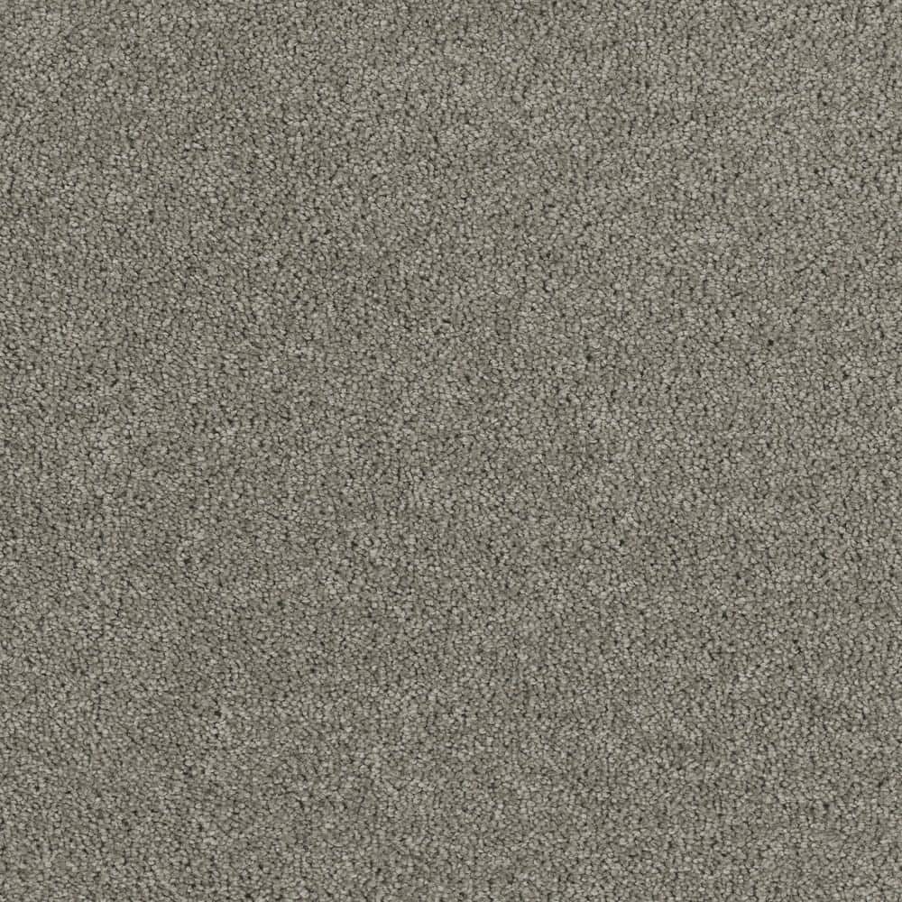 8 in. x  8 in. Texture Carpet Sample - Moonlight -Color View price history on PriceWatchPro