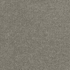 Moonlight  - View - Gray 32 oz. SD Polyester Texture Installed Carpet